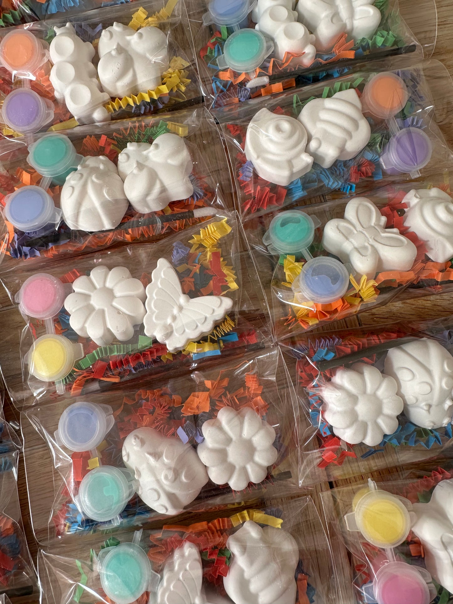 Paint Your Own Bug Party Favour~ Rainy Day Activity ~ Hobby ~ Party Bag~ Butterfly