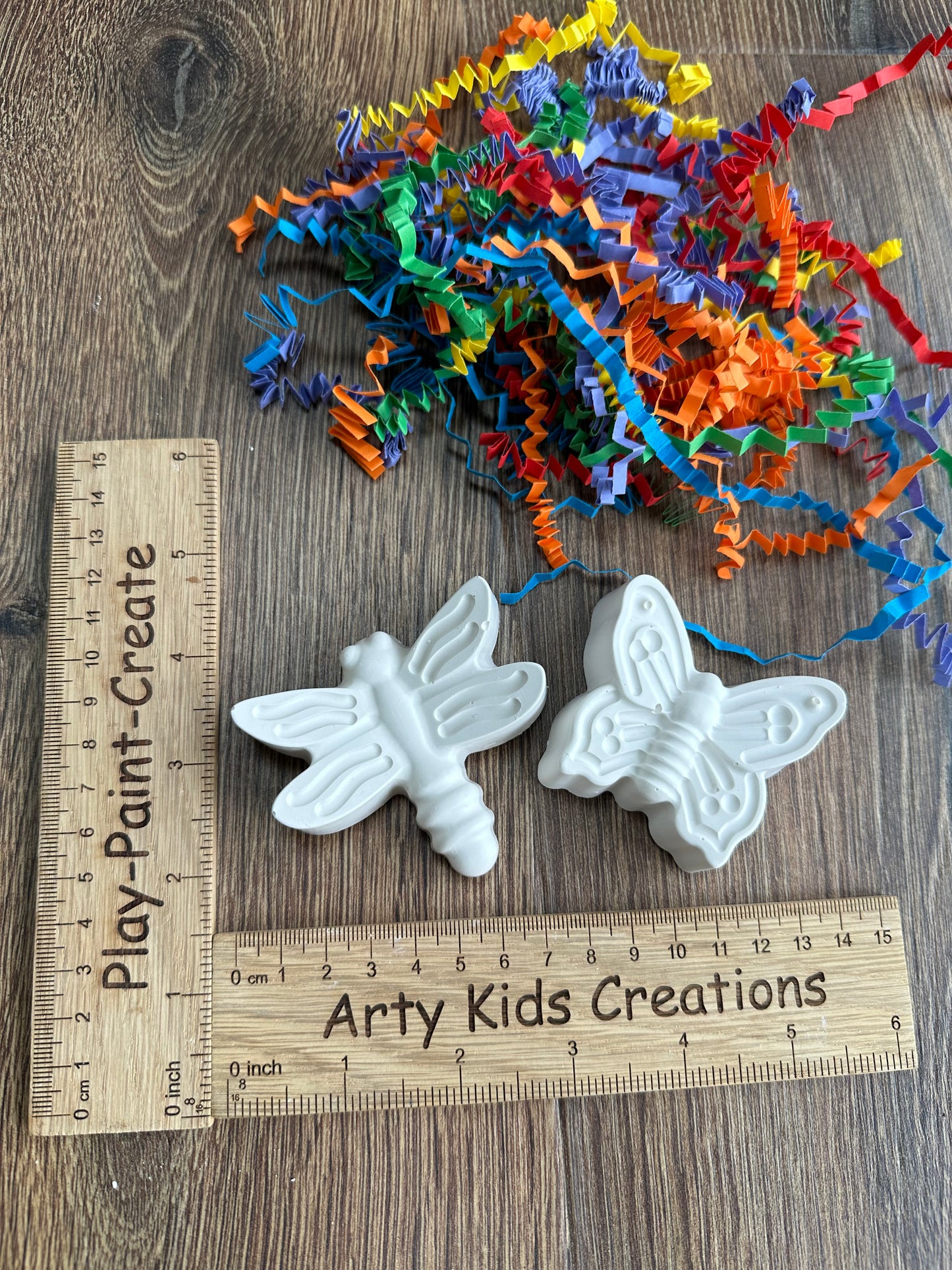 Paint Your Own Bug/ Insect Party Favour. Rainy day activity, gift, stocking filler