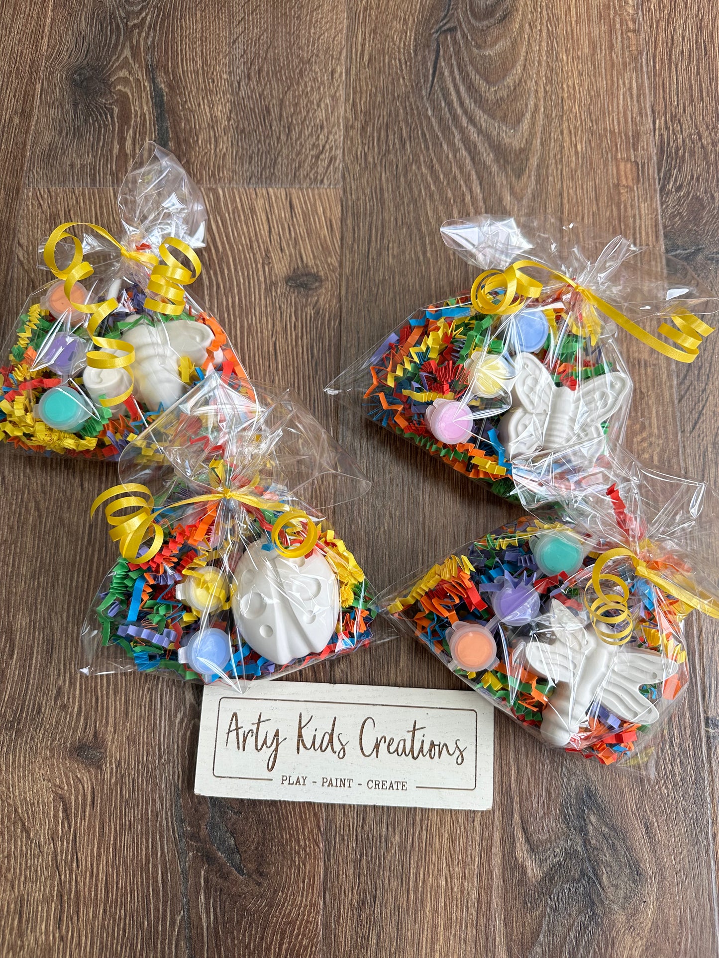 Paint Your Own Bug/ Insect Party Favour. Rainy day activity, gift, stocking filler